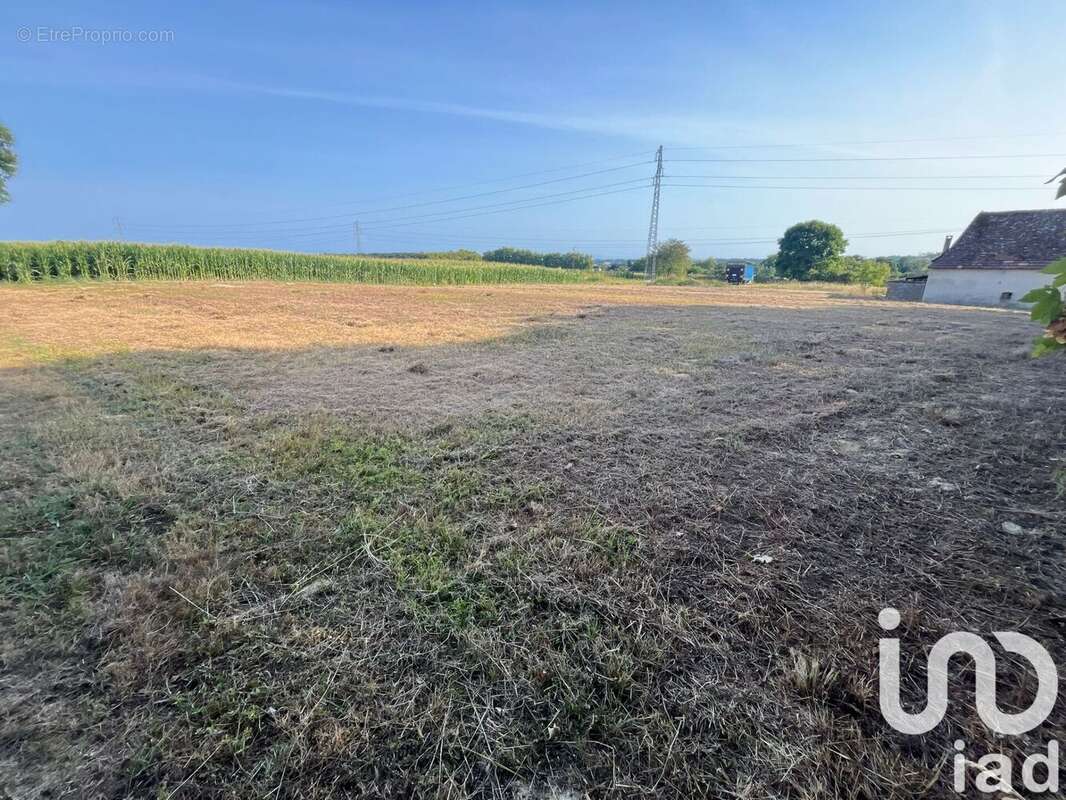 Photo 3 - Terrain à CASTETIS