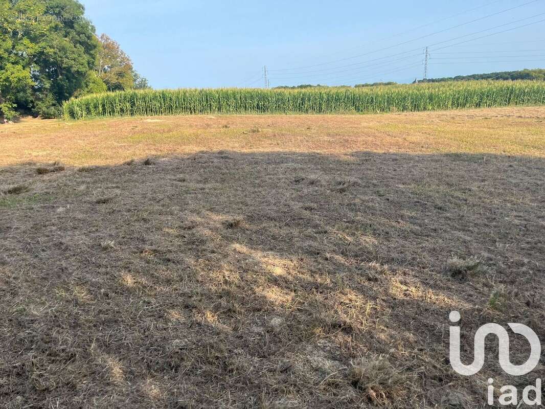 Photo 4 - Terrain à CASTETIS