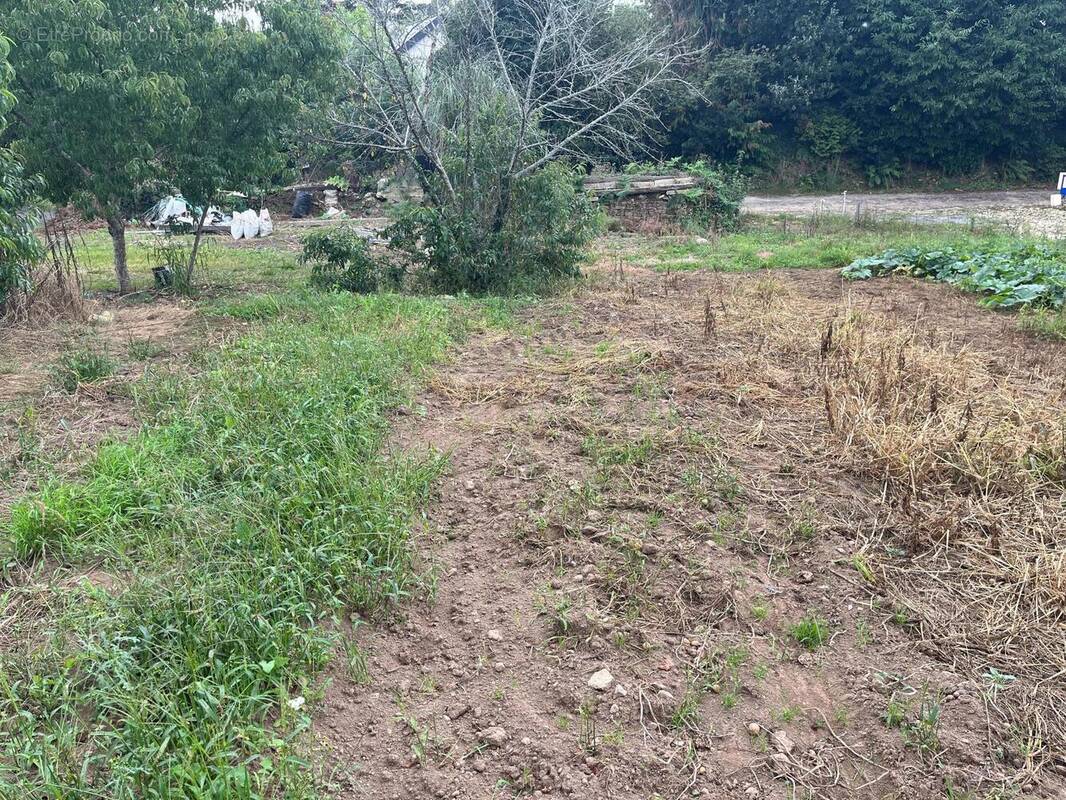 Photo 1 - Terrain à SAINT-YVI