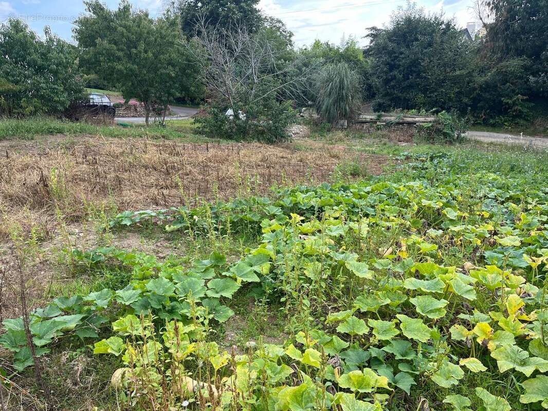 Photo 3 - Terrain à SAINT-YVI