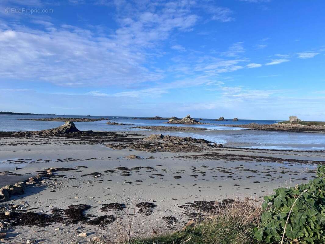 Photo 2 - Terrain à SANTEC