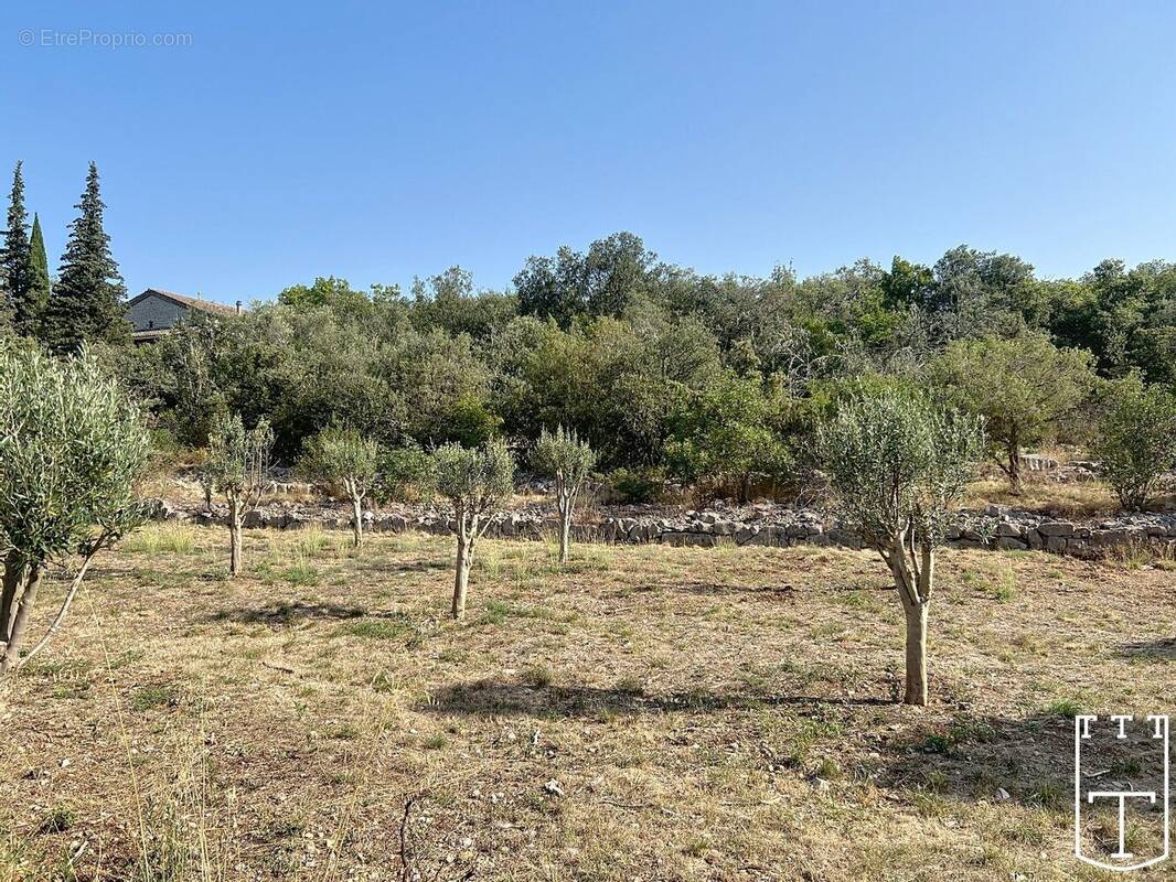 Terrain à LABEAUME
