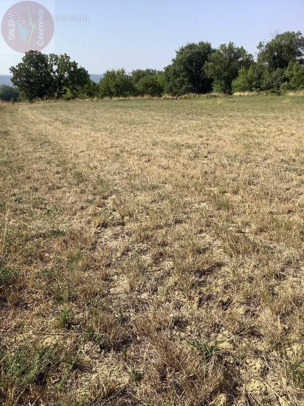 Terrain à AIGREMONT