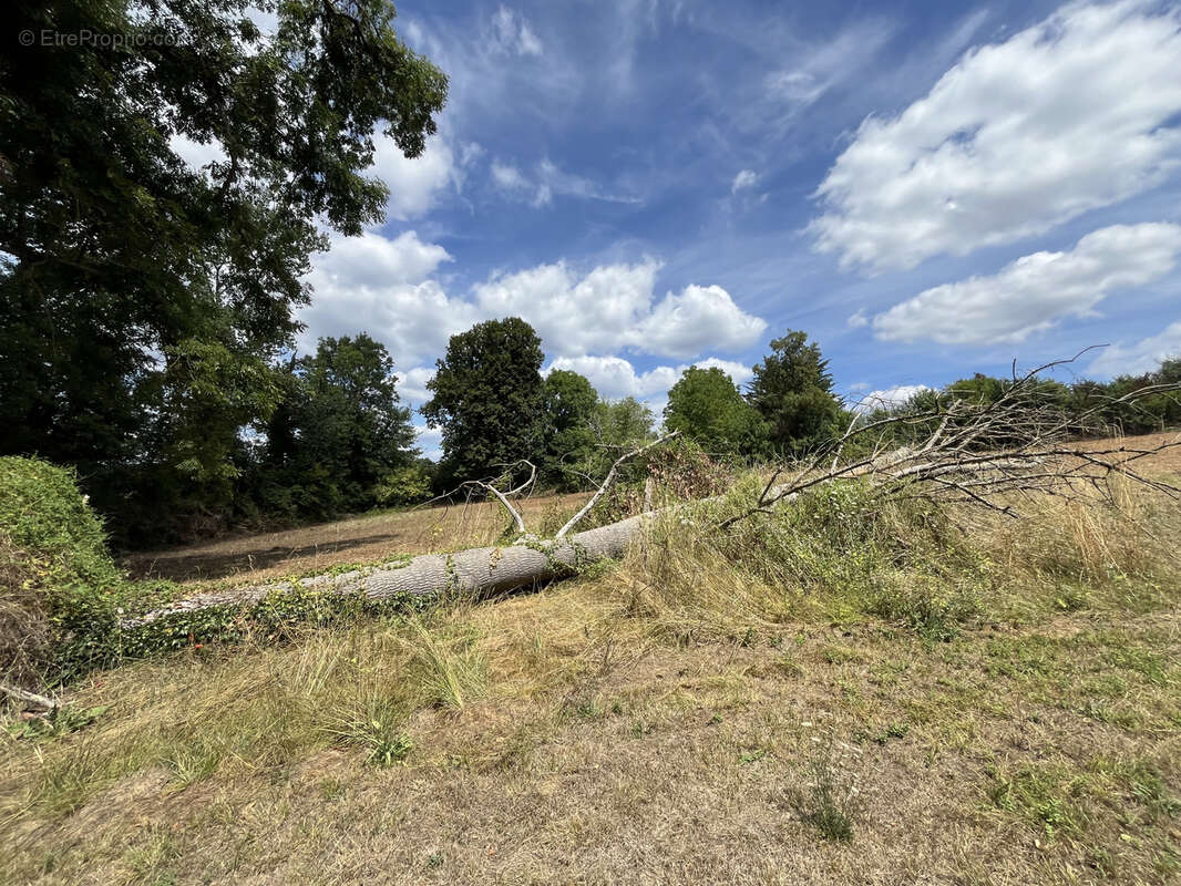 Terrain à RAZAC-SUR-L&#039;ISLE
