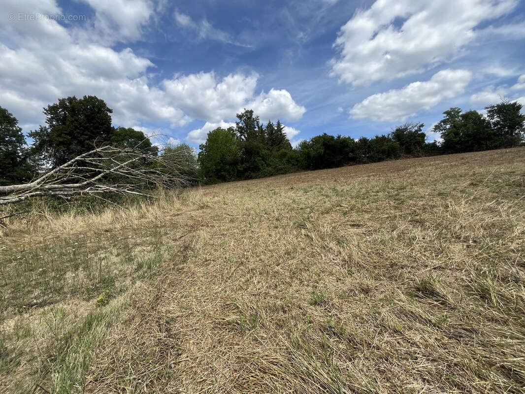 Terrain à RAZAC-SUR-L&#039;ISLE