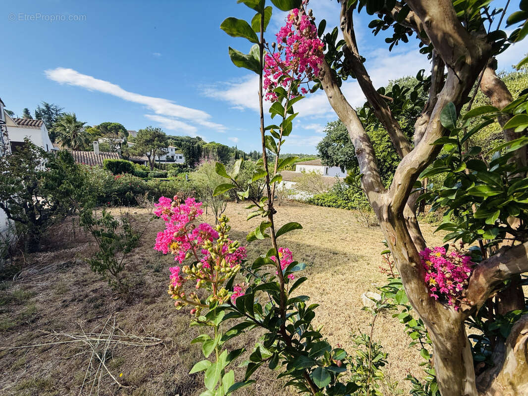 Maison à SAINT-GEORGES-D&#039;ORQUES