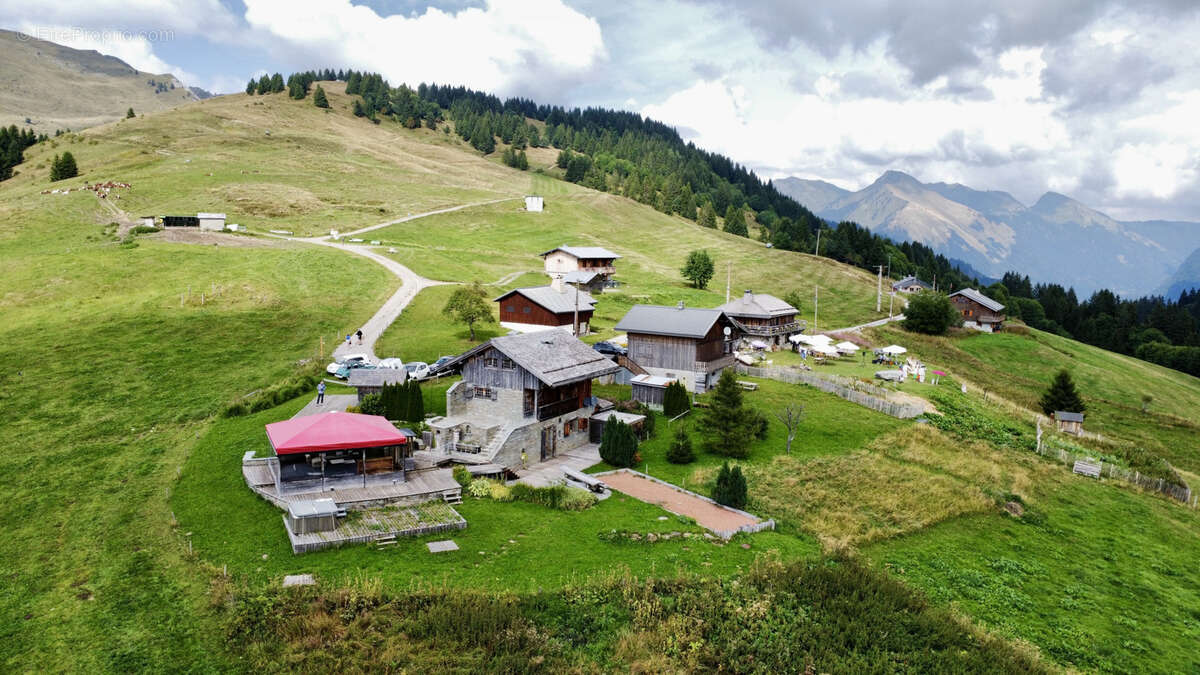 Maison à LA COTE-D&#039;ARBROZ