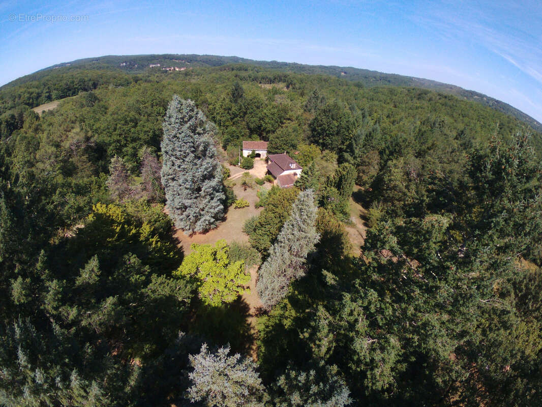 Maison à MONTCABRIER
