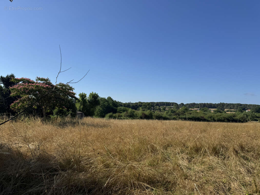 Terrain à CERCOUX