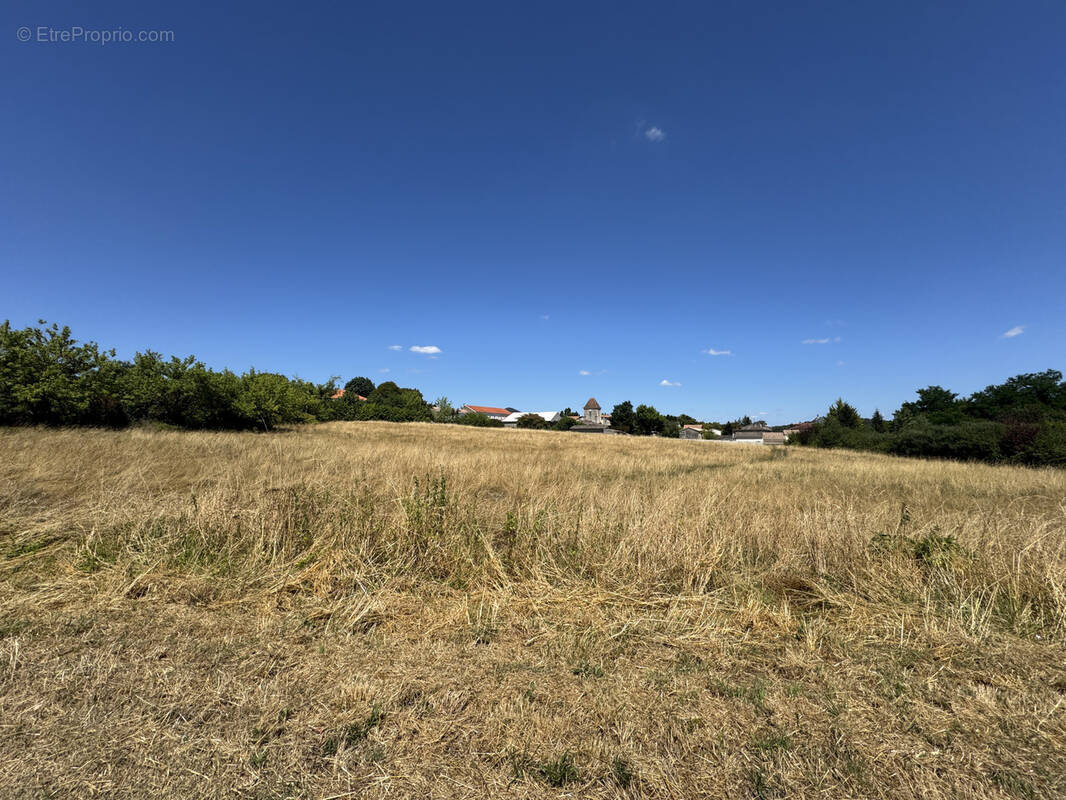 Terrain à CERCOUX