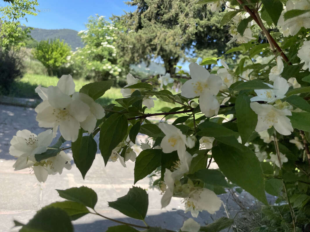 Maison à VAISON-LA-ROMAINE