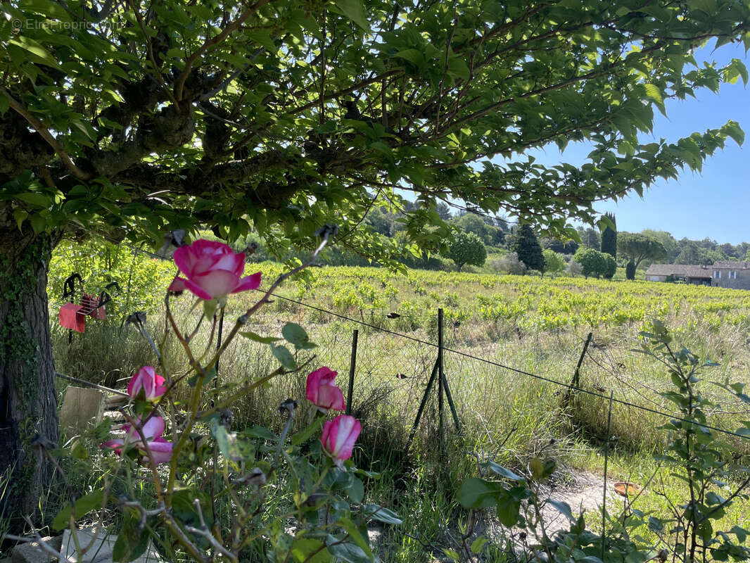 Maison à VAISON-LA-ROMAINE