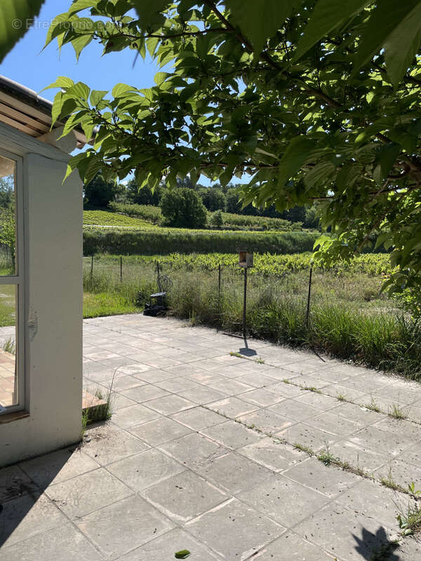 Maison à VAISON-LA-ROMAINE