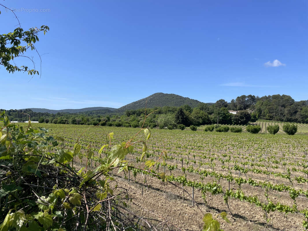 Maison à VAISON-LA-ROMAINE