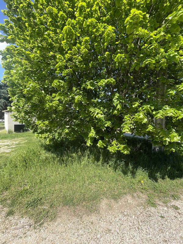 Maison à VAISON-LA-ROMAINE