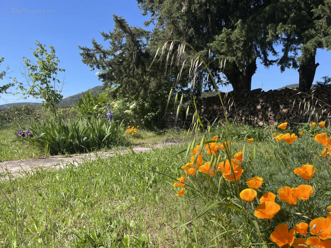 Maison à VAISON-LA-ROMAINE
