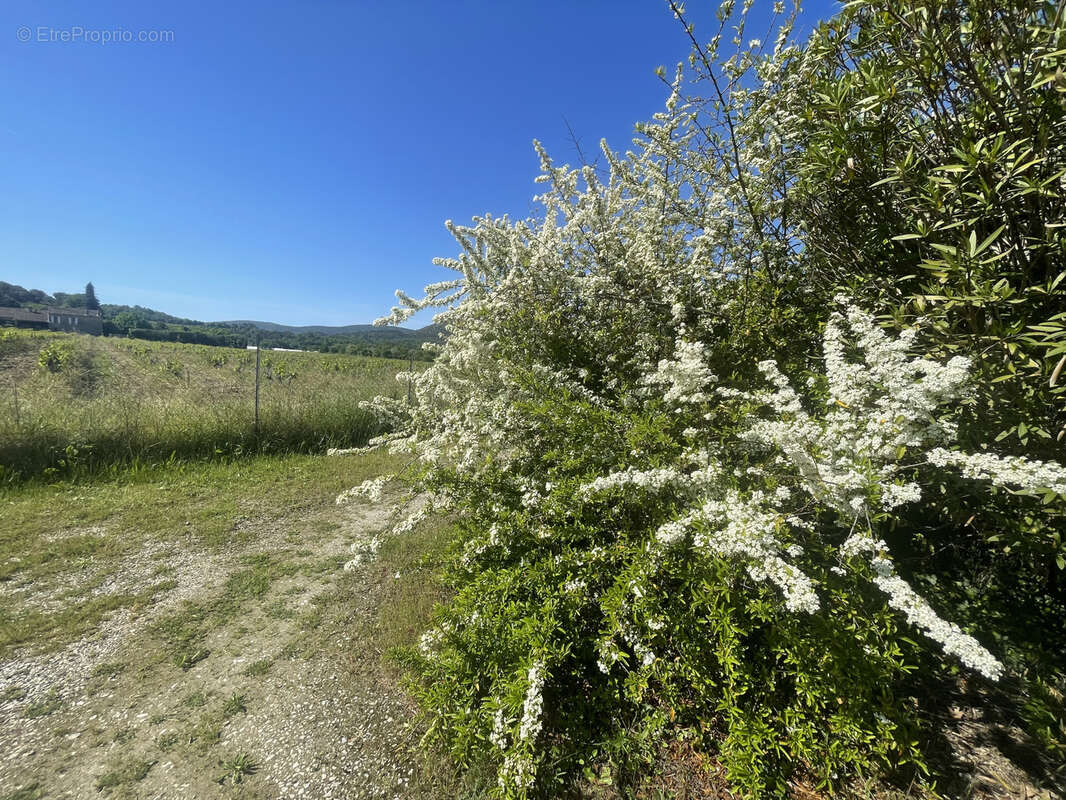 Maison à VAISON-LA-ROMAINE