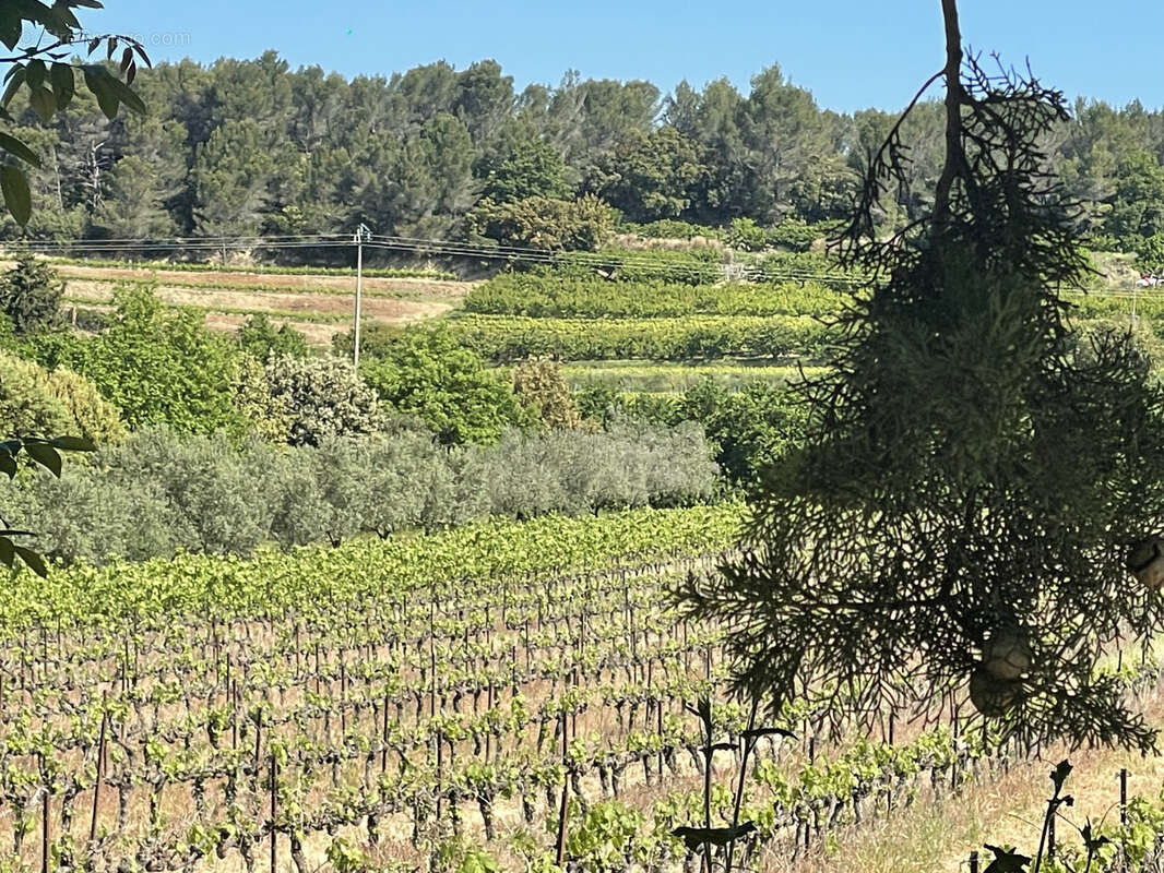 Maison à VAISON-LA-ROMAINE