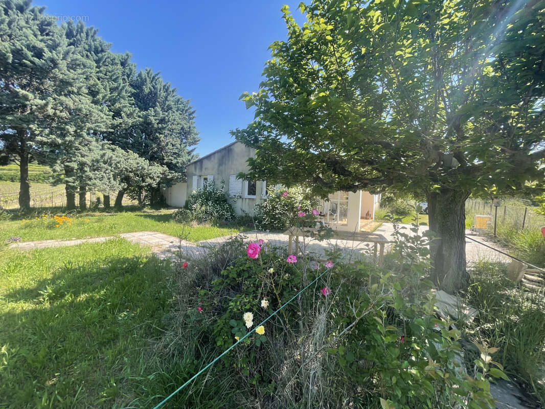 Maison à VAISON-LA-ROMAINE