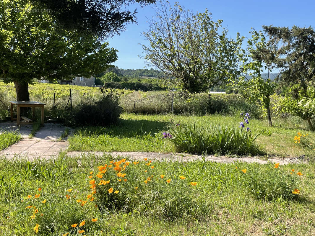 Maison à VAISON-LA-ROMAINE