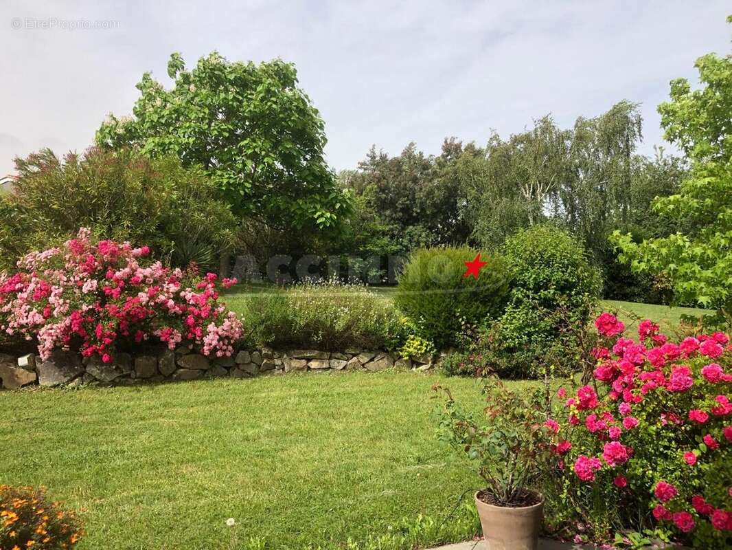 Maison à LAUZERVILLE