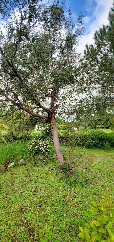 Maison à LABLACHERE