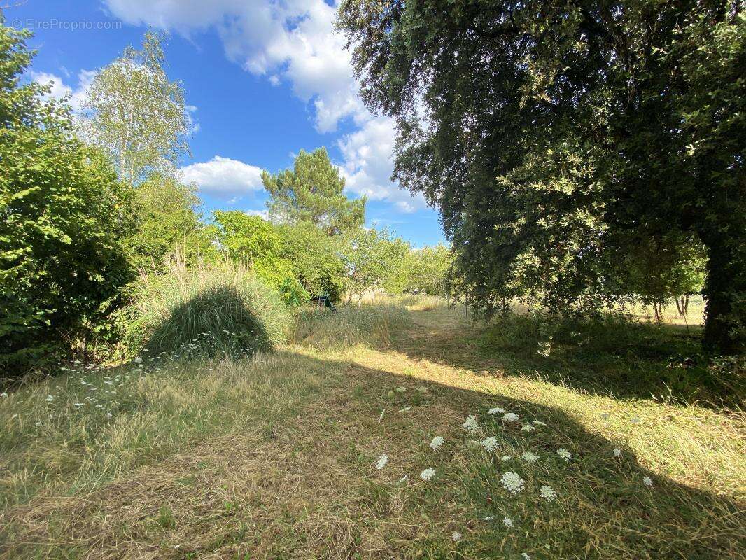 Maison à LE BUISSON-DE-CADOUIN