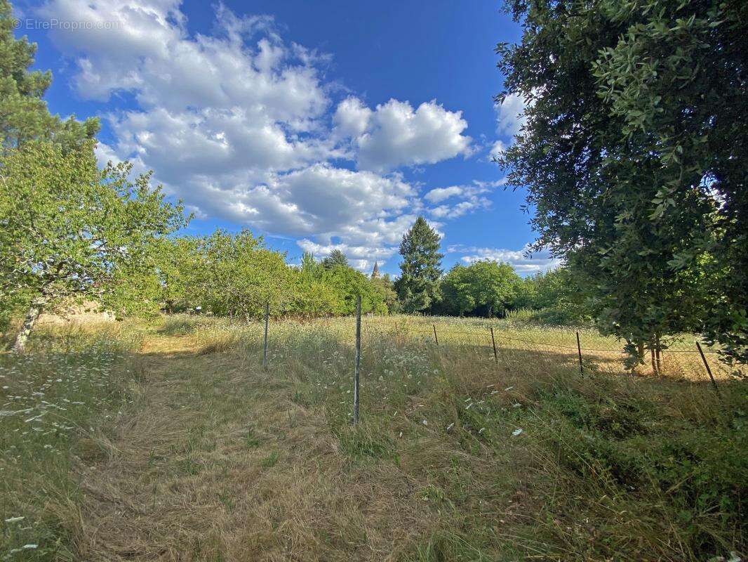 Maison à LE BUISSON-DE-CADOUIN