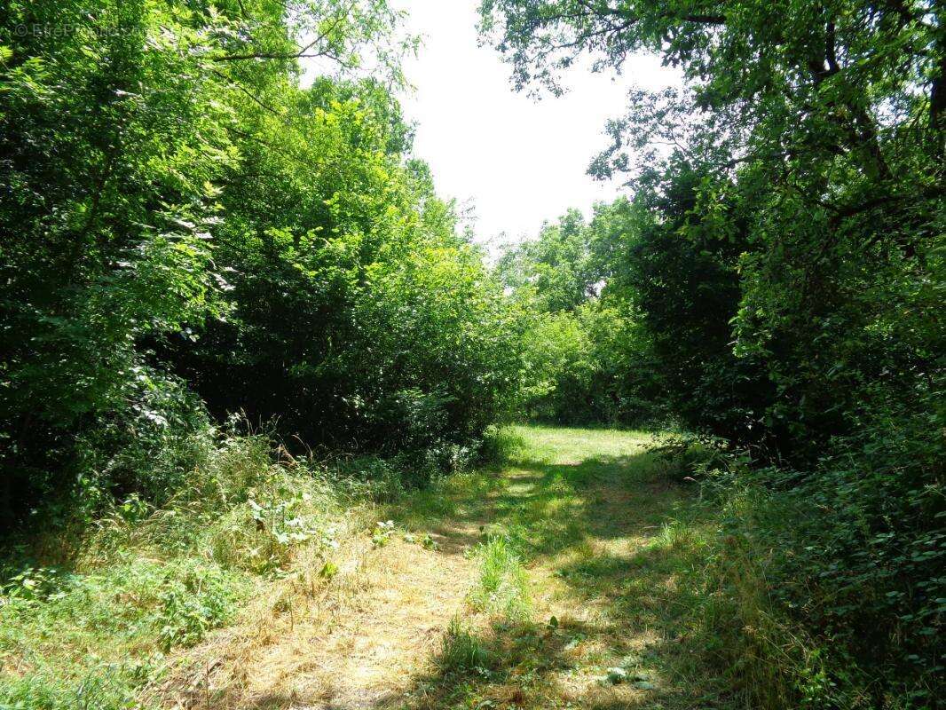 Maison à CHAMPAGNE-ET-FONTAINE