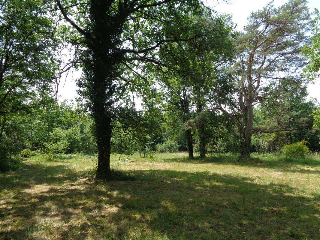 Maison à CHAMPAGNE-ET-FONTAINE