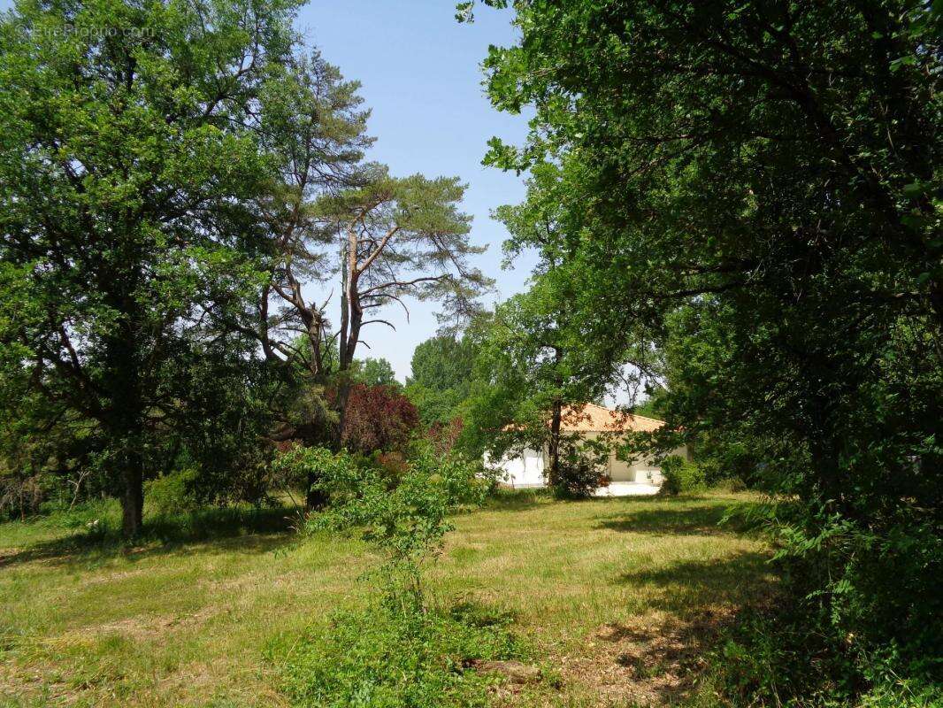 Maison à CHAMPAGNE-ET-FONTAINE