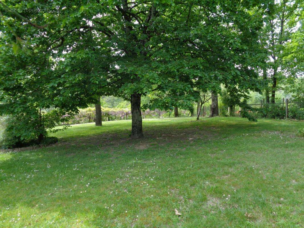 Maison à SAINT-PANCRACE