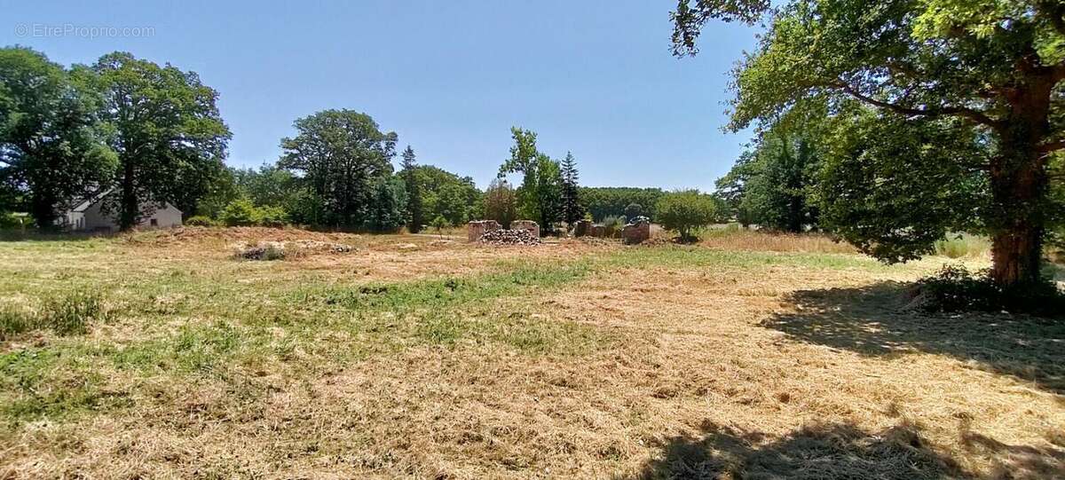 Terrain à MISSILLAC