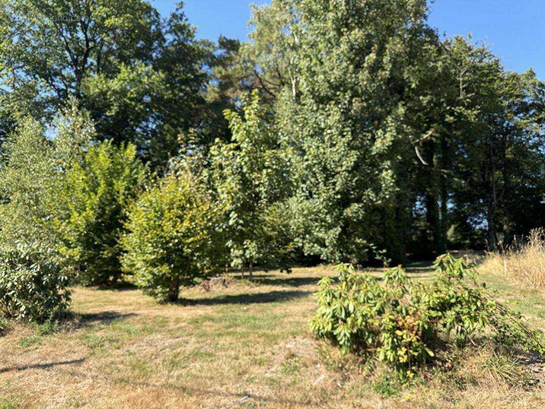 Terrain à PLUVIGNER