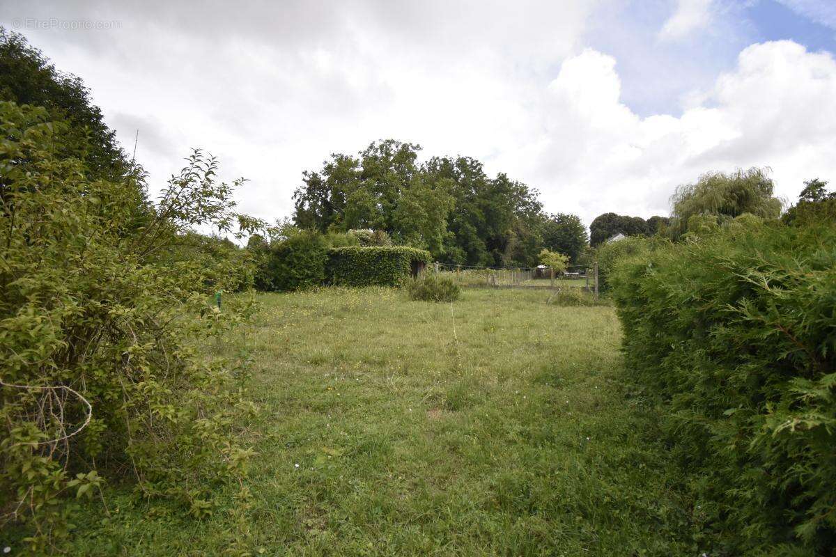 Maison à COSNE-COURS-SUR-LOIRE