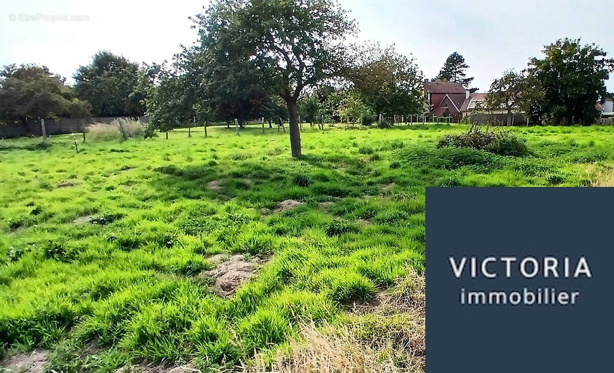 Terrain à BELLEVILLE-SUR-MER