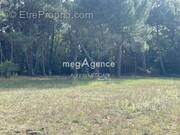 Terrain à SAINT-AUBIN-DE-MEDOC