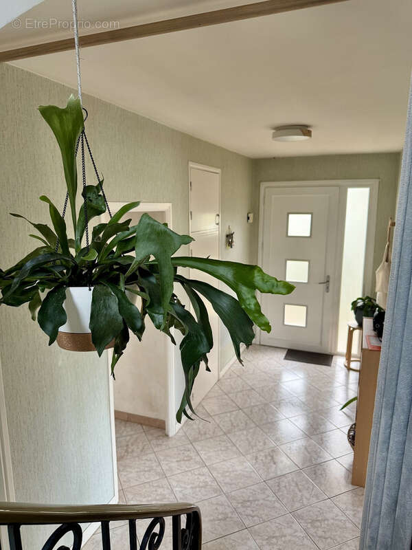 Maison à LUC-LA-PRIMAUBE