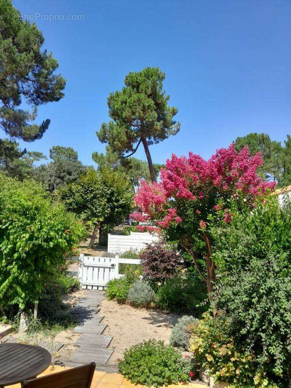 Maison à SAINT-GEORGES-DE-DIDONNE