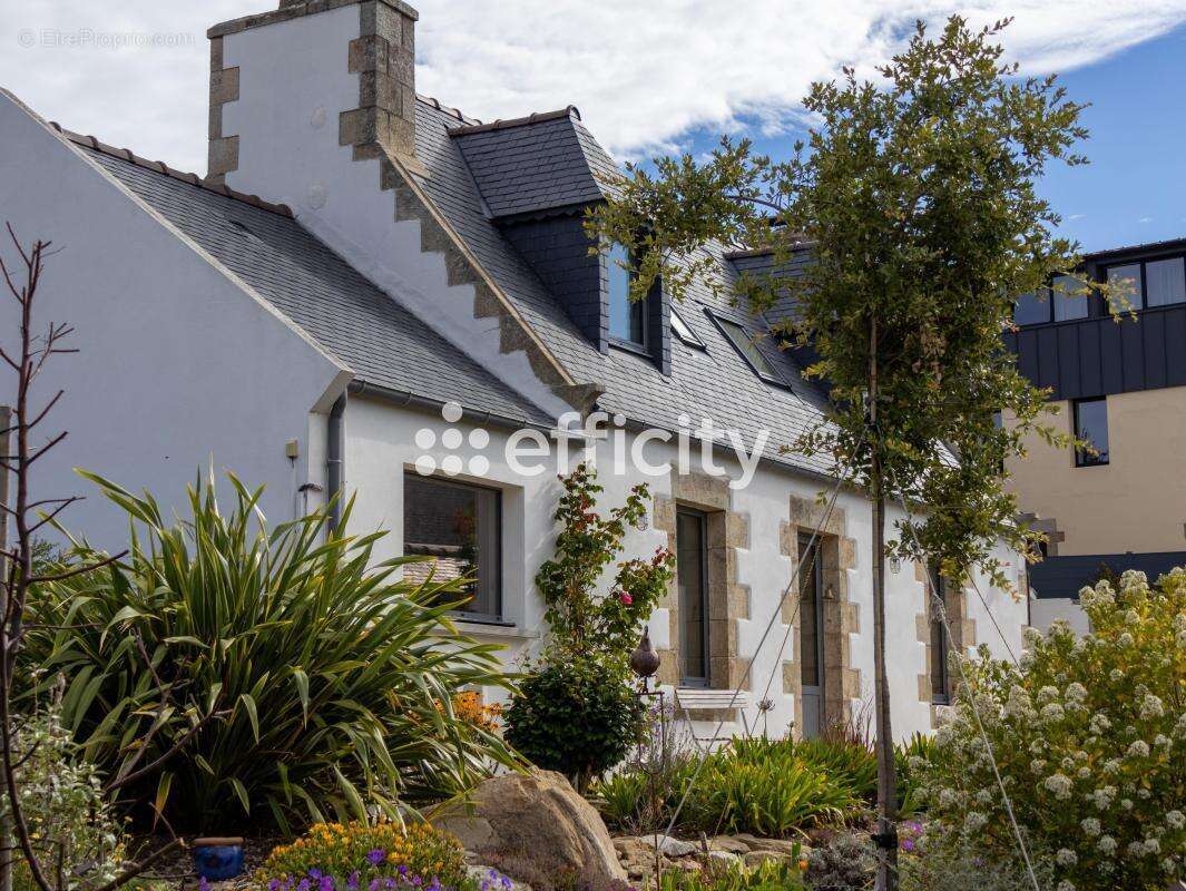 Maison à PLEUMEUR-BODOU