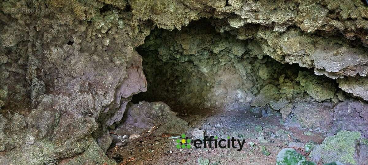 Maison à SAINTE-ROSE