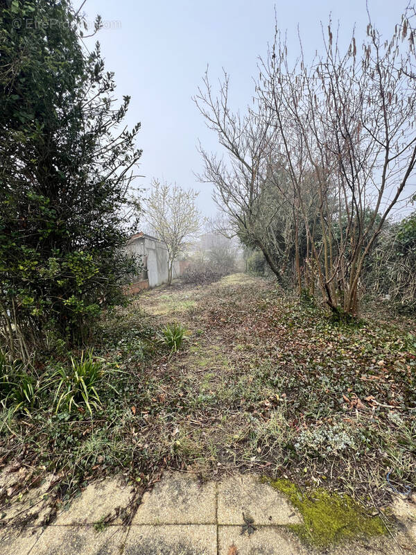 Terrain à VILLENEUVE-LE-ROI