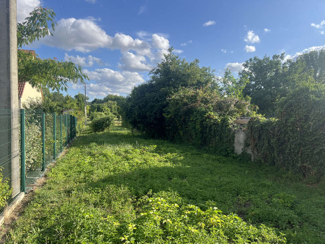 Terrain à MALAY-LE-GRAND