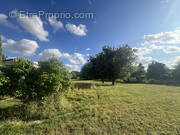 Terrain à MALAY-LE-GRAND