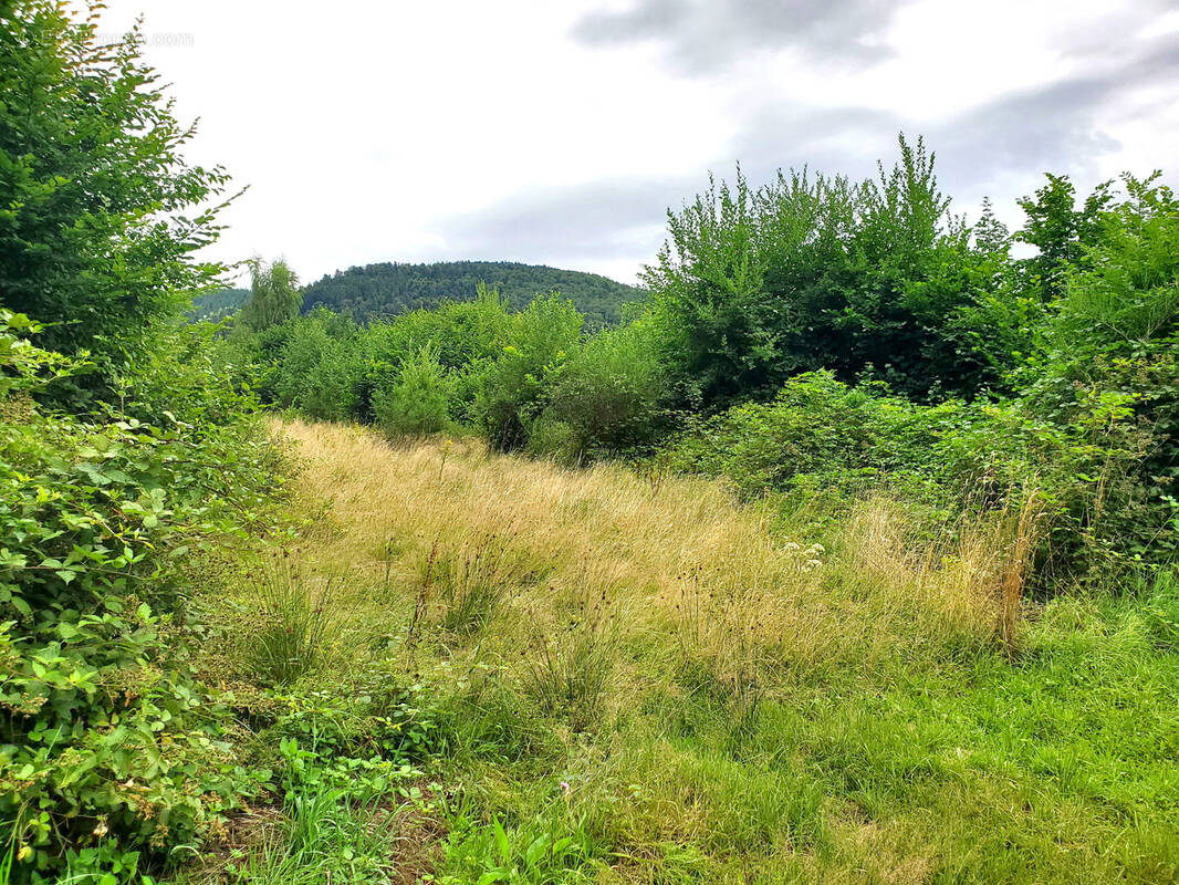 Terrain à COLROY-LA-ROCHE