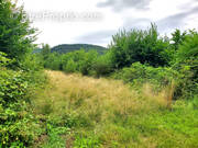 Terrain à COLROY-LA-ROCHE