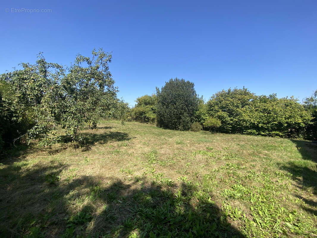 Maison à EBBLINGHEM