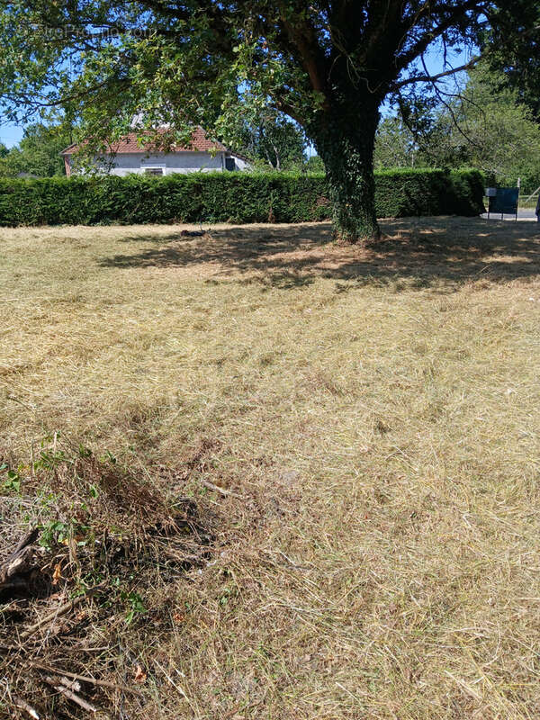 Maison à LA GUERCHE-SUR-L&#039;AUBOIS