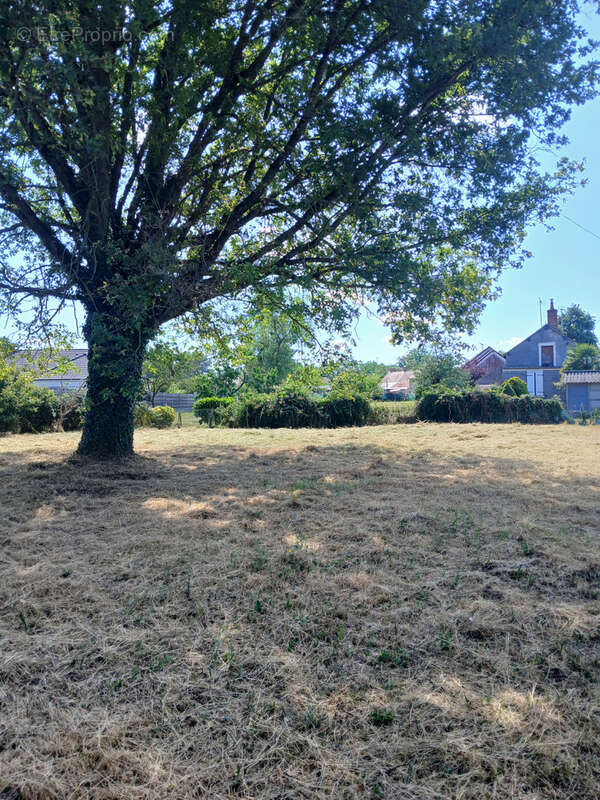 Maison à LA GUERCHE-SUR-L&#039;AUBOIS