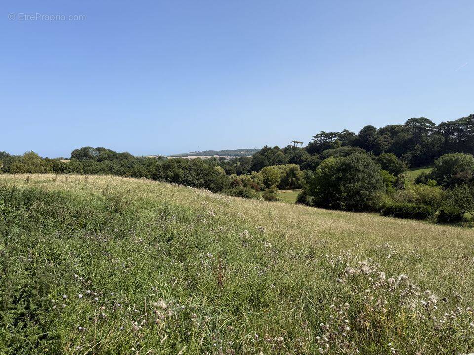 Terrain à PORT-EN-BESSIN-HUPPAIN